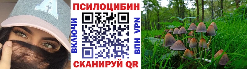 Купить Невинномысск Галлюциногенные грибы Psilocybine cubensis