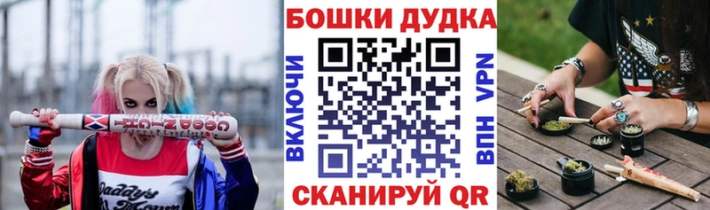 Каннабис планчик  Купить  Невинномысск 